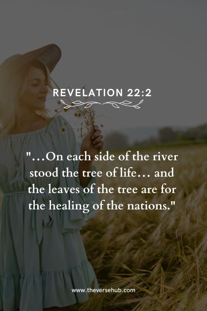 Bible Verses About Healing