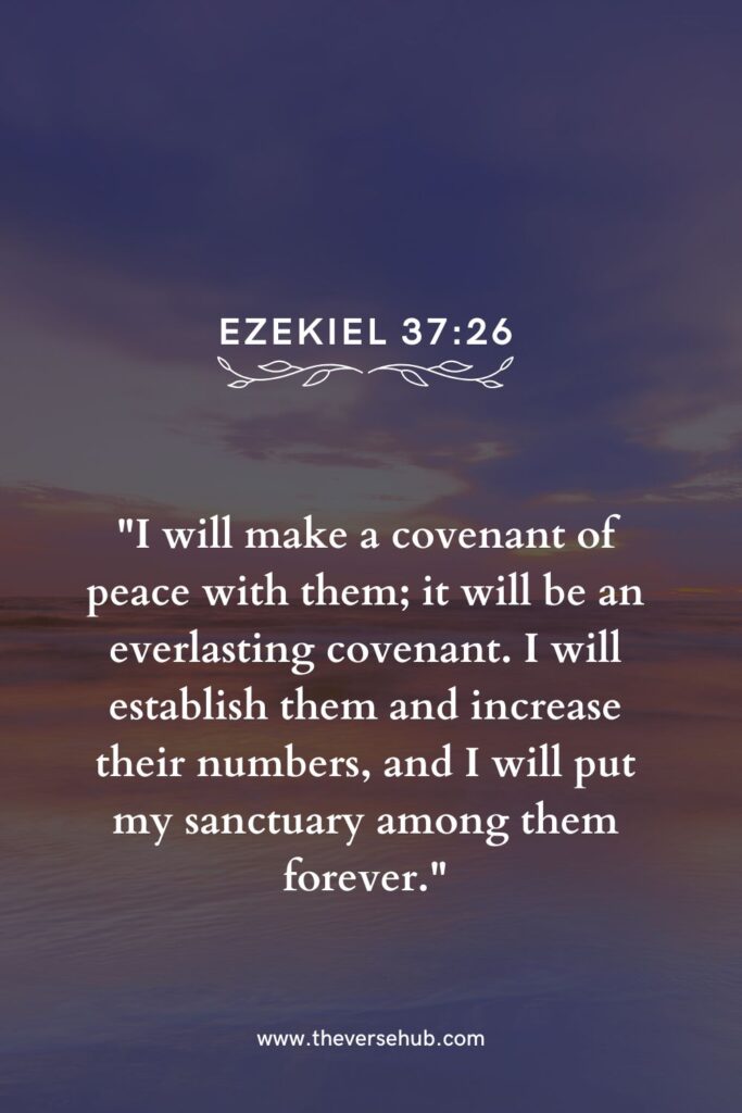 Bible Verses About Peace