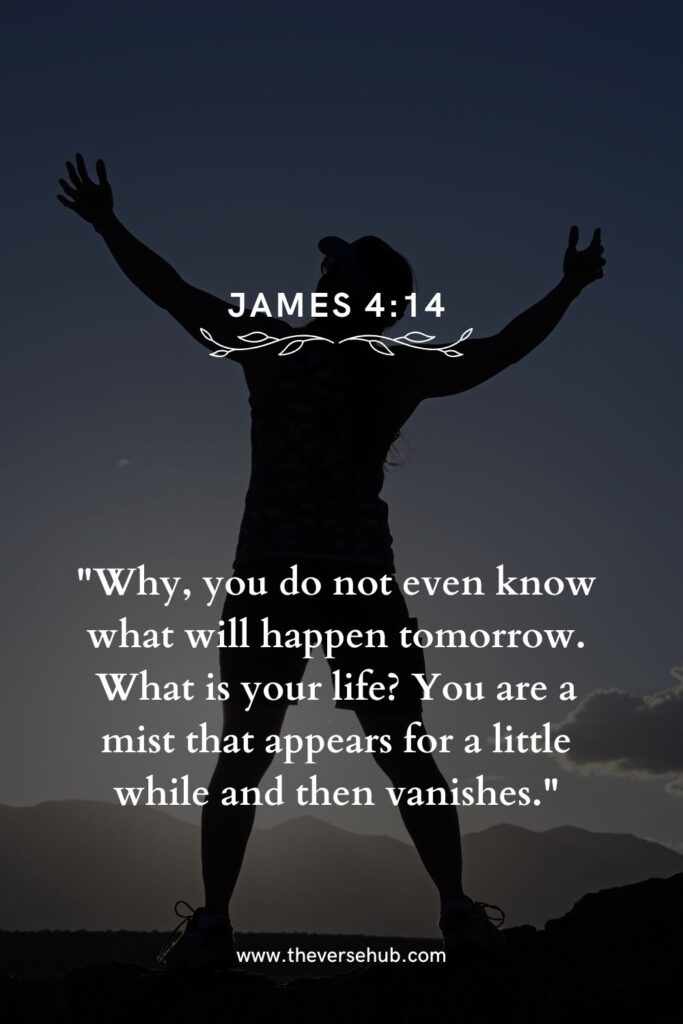 bible verses about life